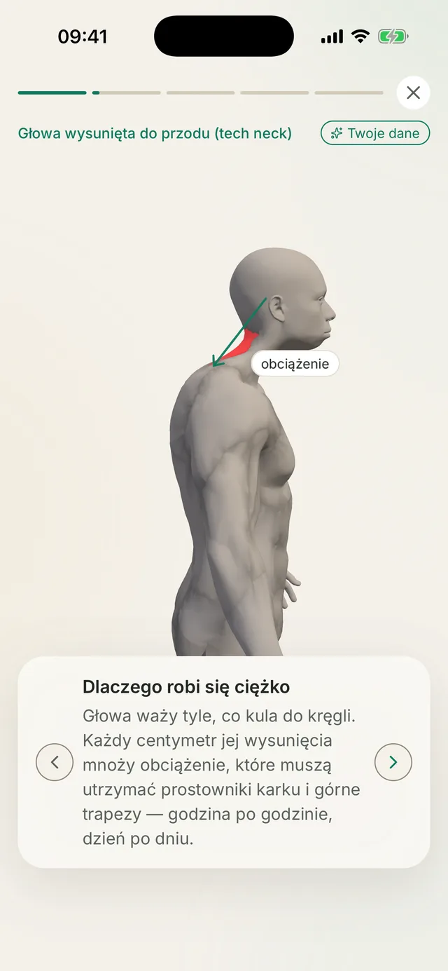 Ekran Kallen: historia postawy odtwarzana na modelu 3D z opisem wzorca